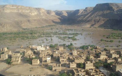 Recompense for Hadramout rain-affected people reaches YR 226 mln 