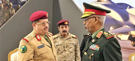 Defense Minister praises Sudanese troops' bravery, sacrifices in Yemen