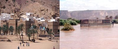 YR72 bln losses in agricultural sector in Hadramout due to floods 