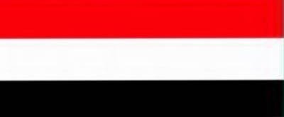 Yemen ambassador to Spain presents credentials