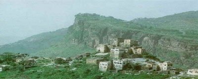 Malaysians apply their agricultural experiences in Yemen