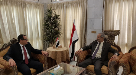 Yemeni-Egyptian cooperation in health sector discussed