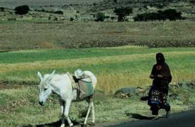 WB allocates $20 mln for rural areas water projects 