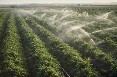 WB finances program on agricultural water in Yemen 