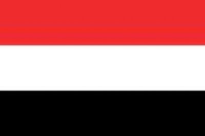 Yemen takes part in chemical weapons prohibition conference in Holland