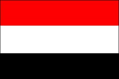 Yemen discuss cooperation with Egypt, S.Korea 