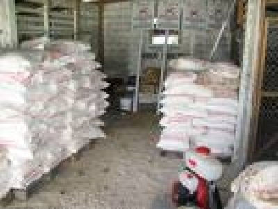 UAE grant wheat 3rd batch to be distributed in Dhamar
