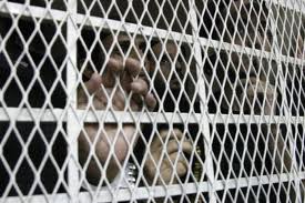 Al-Qaeda cell trial to begin soon