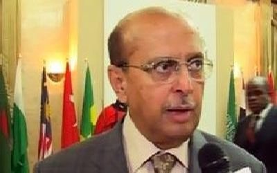Mediation can prevent interference in Yemen affairs: al-Qirbi