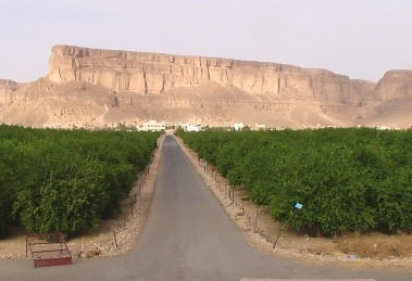 Wadi Al-ain and Houra Local Authority hold its second regular 