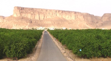 Wadi Al-ain and Houra Local Authority review report on District's security situation. 