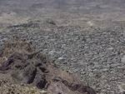 Taiz sheikhs, dignitaries hold extended meeting