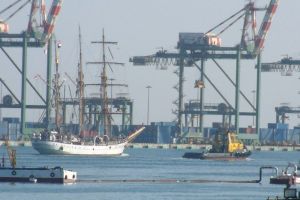 Economic growth of Yemen to increase to 5% by end of 2007  