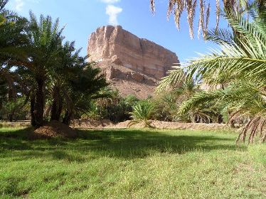 U.N.D.P of rebuilding the early life resumes targeted districts