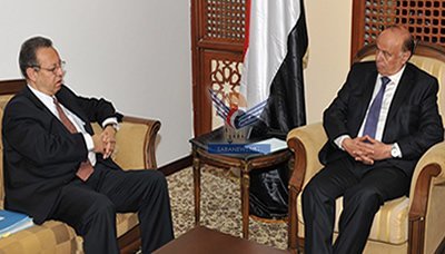 Vice President receives UN envoy