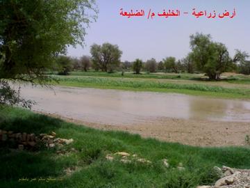 Al-dhileah Electricty General Manager inspects progress of work in