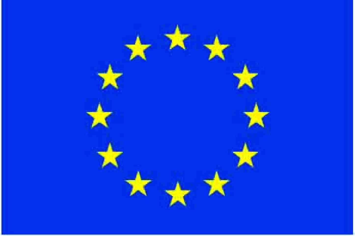 EU delegation praises Future Social Association