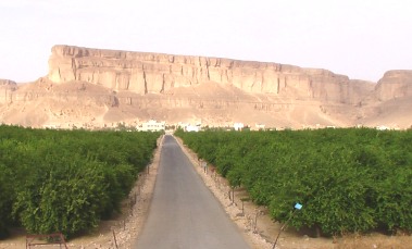 Wadi Al-ain and Houra pays More than (9) million riyals in dues to  Welfare Fund  cases, 