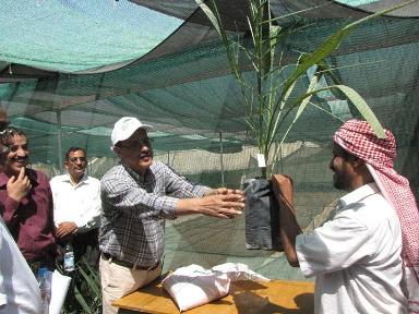  Mujawwar launches Republic date palm cultivation project in Seiyoun