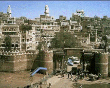 French support for protecting Yemeni heritage discussed 
