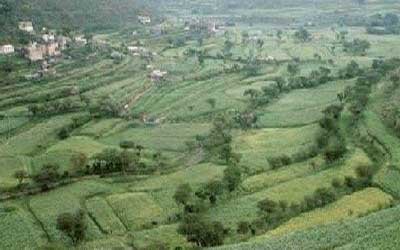 Yemen, GIZ discuss food security project in Yemen