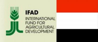 Yemen, IFAD discuss $ 20 mln projects in fisheries field
