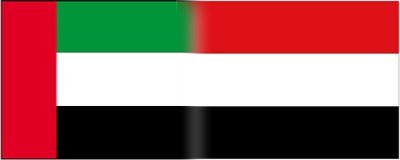 Yemen, UAE review bilateral cooperation