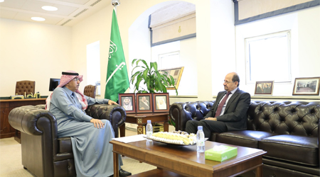 Yemeni-Saudi cooperation about security in the Red Sea discussed