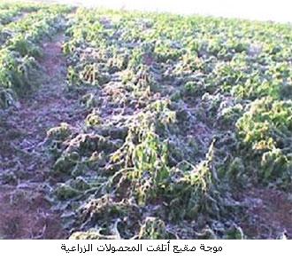 Dr. Alwan call  farmers to identify the effects of climate change
