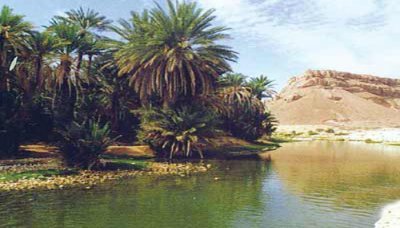 USAID to support society development in Abyan with $ 10 mln