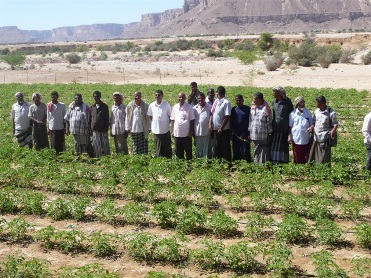 Conservation Project on groundwater and soil carries out, farmers' fields day