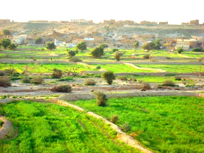 Implementation of projects in Gheil Bin Yumein Hadhramout worth 4 billion and a half