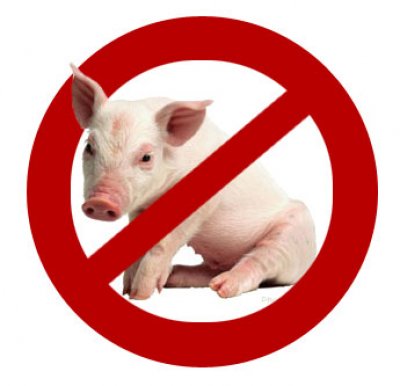  .Health Ministry: 10 Swine Flu-infected cases discovered