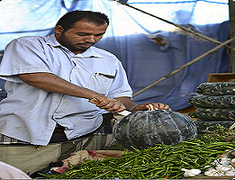 Vegetable Market
