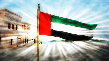 Emirates Red Crescent delivers food assistance to Yemeni martyrs' families‏