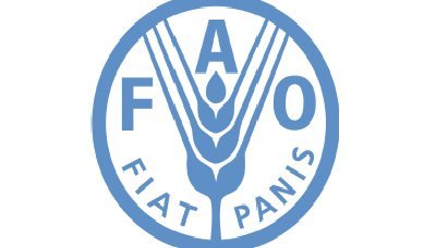 FAO organizes workshop on food security information