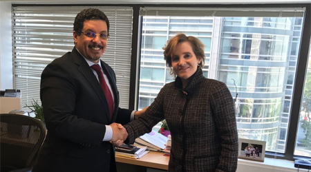 Yemen, GPE discuss education projects in Yemen