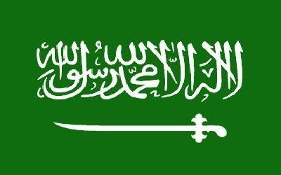 KSA hopes PNPA helps to overcome Yemen crisis: Saudi official