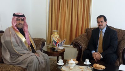 Saudi Arabia keen to support power projects in Yemen : Envoy