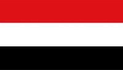 Russia, Turkey call for peaceful solutions to Yemen's crisis
