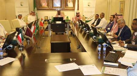 Yemen calls for quick GCC assistance to combat cholera