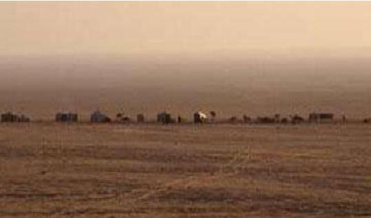 Al-abar executive discusses report on the status of District Culture Office 