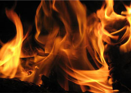 Forest fire destroys 4,500 palm trees in Socotra