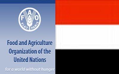 Yemen, FAO discuss developing fisheries sector workers capacities