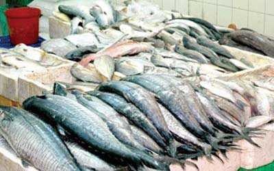 Fish export last year reaches  Four billion and 417 million riyals.