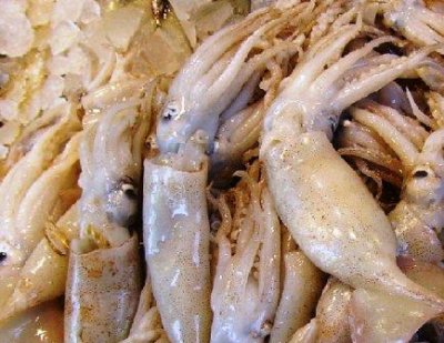 Fisheries ministry to seal $ 150-million dea