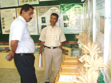 Hadhramaut Under-secretary access himself to the activity of Seiyoun agricultural research station .
