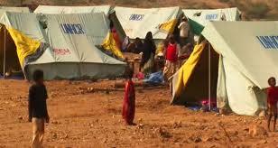 Training program to value IDPs situations in Amran