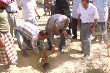 Omaier  participates the affected in planting palm seedlings tissue   