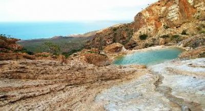France provides €1 mln for biodiversity in Socotra